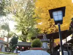 菅原院天満宮神社の建物その他