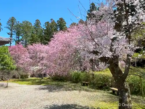 高山寺(兵庫県)