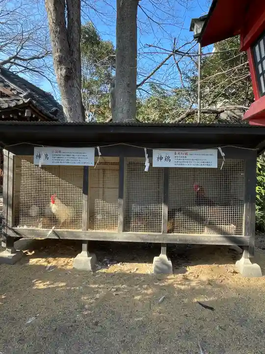 助松神社(大阪府)