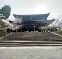 知恩院の山門・神門