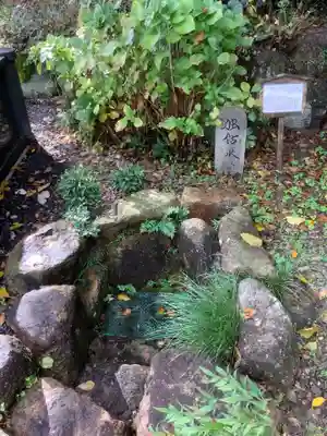 慈妙院の手水舎