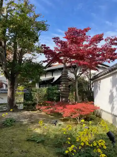 圓徳院(京都府)
