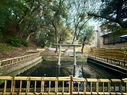 大洗磯前神社の{uncategorized: "未分類", other: "その他", undefined: "問題あり", building: "その他建物", grave: "お墓", sacred_gate: "鳥居", guardian: "狛犬", statue: "像", buddha: "仏像", history: "歴史", nature: "自然", garden: "庭園", animal: "動物", pagoda: "塔", temizu: "手水舎", mountain_gate: "山門・神門", sanctuary: "本殿・本堂", subordinate: "末社・摂社", art: "芸術", scenery: "景色", jizo: "地蔵", ema: "絵馬", goshuin: "御朱印", omikuji: "おみくじ", items: "授与品その他", amulet: "お守り", goshuincho: "御朱印帳", eats: "食事", festival: "お祭り", votive_dance: "神楽", shichigosan: "七五三参", wedding: "結婚式", experience: "体験その他", initially: "初詣", around: "周辺", anti_infection: "感染症対策"}