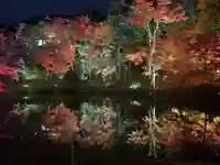 高台寺(高台寿聖禅寺・高臺寺)(京都府)