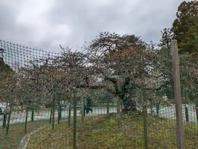 大原野神社(京都府)