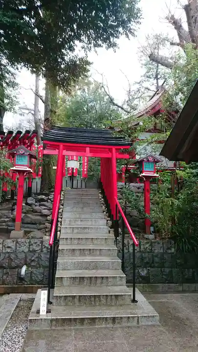 乃木神社の鳥居