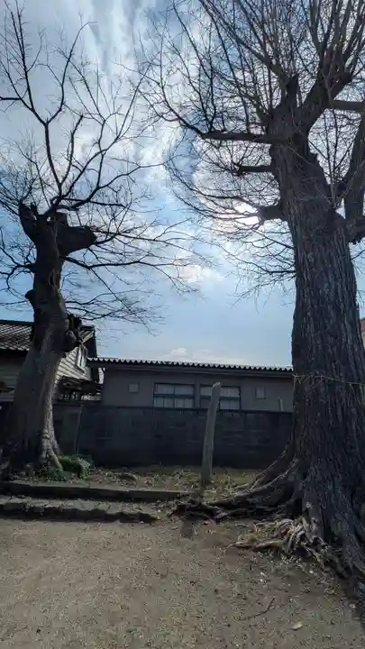 公禮八幡神社(滋賀県)