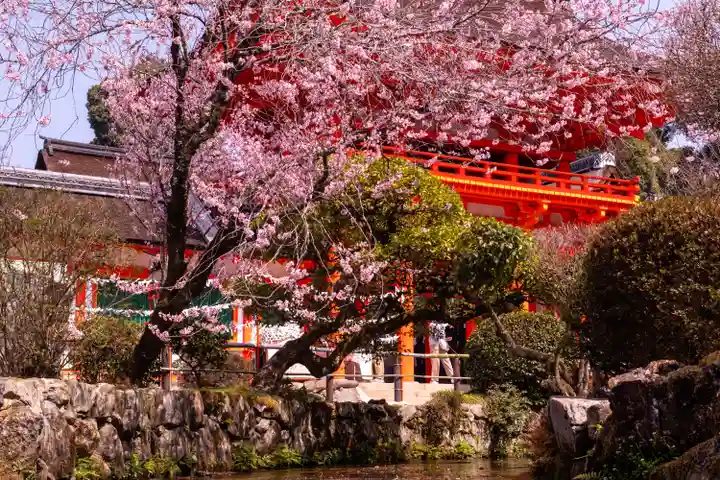 賀茂別雷神社(上賀茂神社)(京都府)