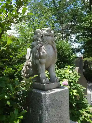 鎮守氷川神社の狛犬