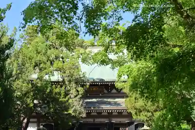 円覚寺(神奈川県)