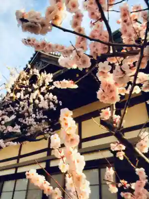 瑞円寺(東京都)