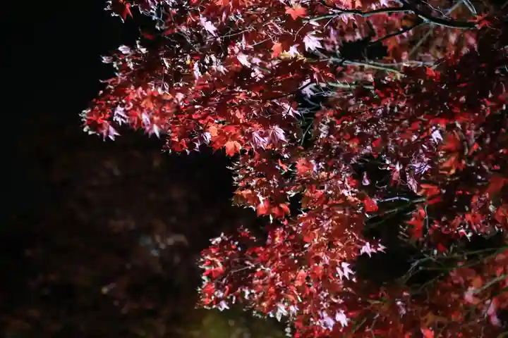 北広島市総鎮守 廣島神社(北海道)