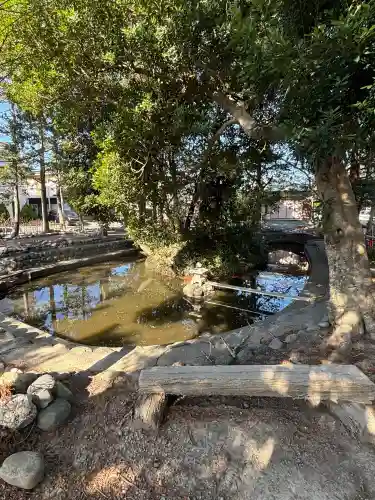 許禰神社の{uncategorized: "未分類", other: "その他", undefined: "問題あり", building: "その他建物", grave: "お墓", sacred_gate: "鳥居", guardian: "狛犬", statue: "像", buddha: "仏像", history: "歴史", nature: "自然", garden: "庭園", animal: "動物", pagoda: "塔", temizu: "手水舎", mountain_gate: "山門・神門", sanctuary: "本殿・本堂", subordinate: "末社・摂社", art: "芸術", scenery: "景色", jizo: "地蔵", ema: "絵馬", goshuin: "御朱印", omikuji: "おみくじ", items: "授与品その他", amulet: "お守り", goshuincho: "御朱印帳", eats: "食事", festival: "お祭り", votive_dance: "神楽", shichigosan: "七五三参", wedding: "結婚式", experience: "体験その他", initially: "初詣", around: "周辺", anti_infection: "感染症対策"}