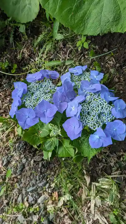 釧路一之宮 厳島神社の自然