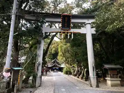 若宮八幡宮(高知県)