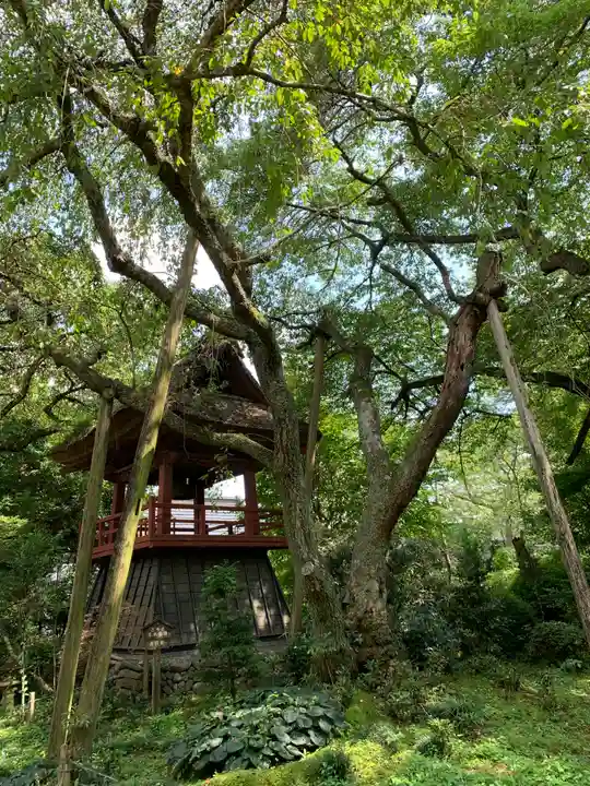 光丸山 法輪寺のその他建物
