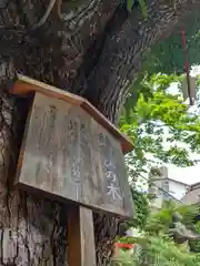 三輪神社(愛知県)