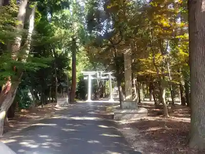 虫生神社の鳥居