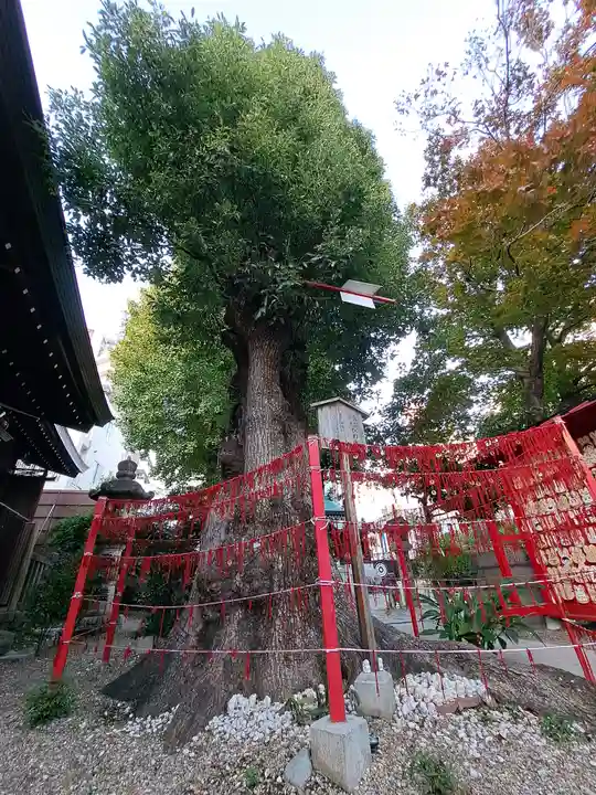 三輪神社(愛知県)