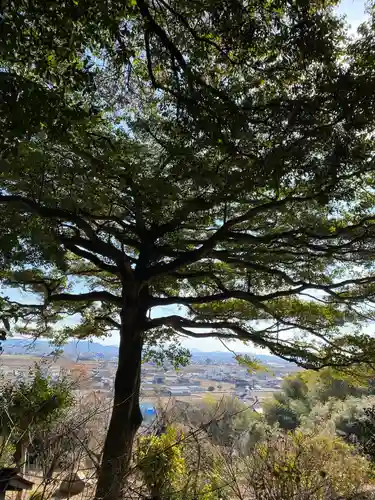 吉備津岡辛木神社(岡山県)