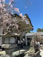 武雄神社(佐賀県)