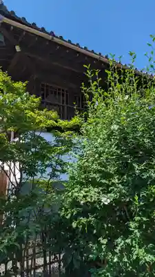 圓通寺(京都府)