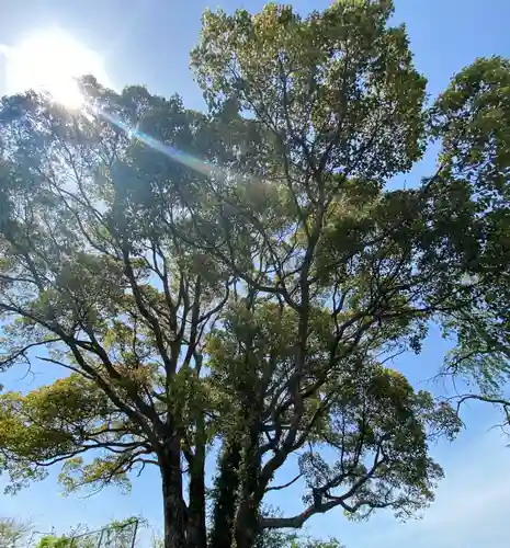 サムハラ神社 奥の宮の庭園