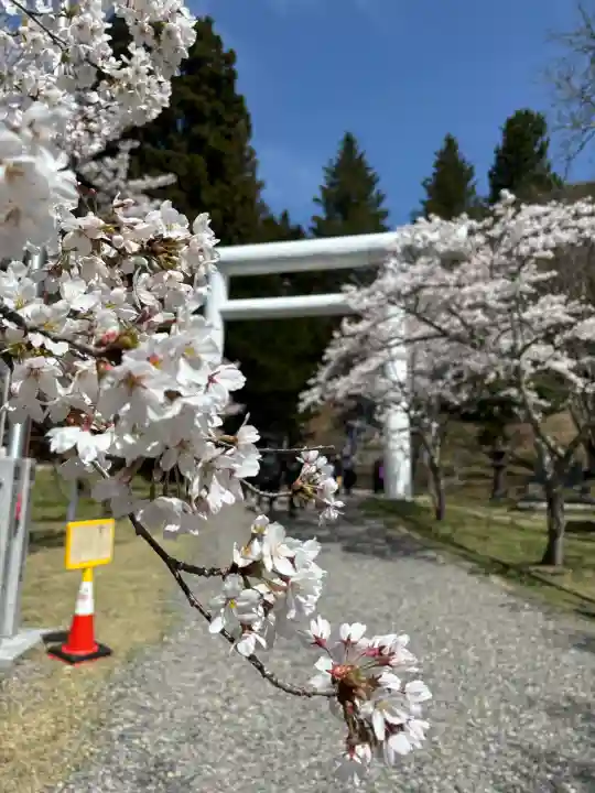 土津神社|こどもと出世の神さまの{uncategorized: "未分類", other: "その他", undefined: "問題あり", building: "その他建物", grave: "お墓", sacred_gate: "鳥居", guardian: "狛犬", statue: "像", buddha: "仏像", history: "歴史", nature: "自然", garden: "庭園", animal: "動物", pagoda: "塔", temizu: "手水舎", mountain_gate: "山門・神門", sanctuary: "本殿・本堂", subordinate: "末社・摂社", art: "芸術", scenery: "景色", jizo: "地蔵", ema: "絵馬", goshuin: "御朱印", omikuji: "おみくじ", items: "授与品その他", amulet: "お守り", goshuincho: "御朱印帳", eats: "食事", festival: "お祭り", votive_dance: "神楽", shichigosan: "七五三参", wedding: "結婚式", experience: "体験その他", initially: "初詣", around: "周辺", anti_infection: "感染症対策"}