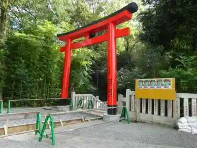 白笹稲荷神社の鳥居