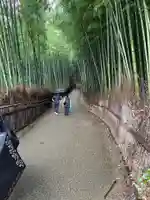 野宮神社(京都府)