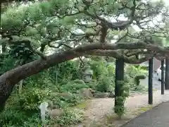 常超院(三重県)