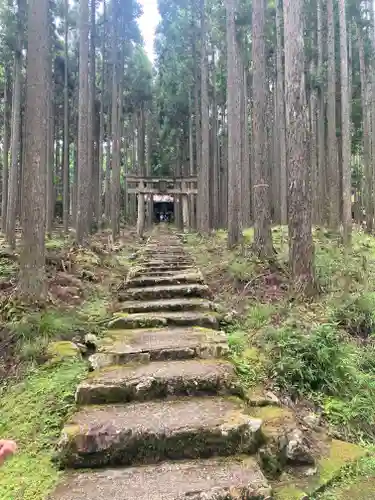 賀茂神社(京都府)