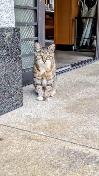 白金氷川神社の動物