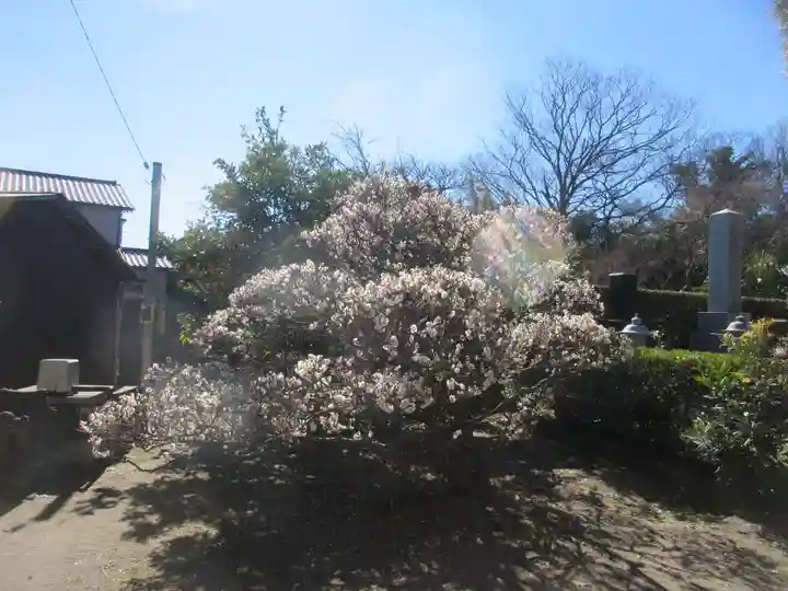 清傳寺(神奈川県)