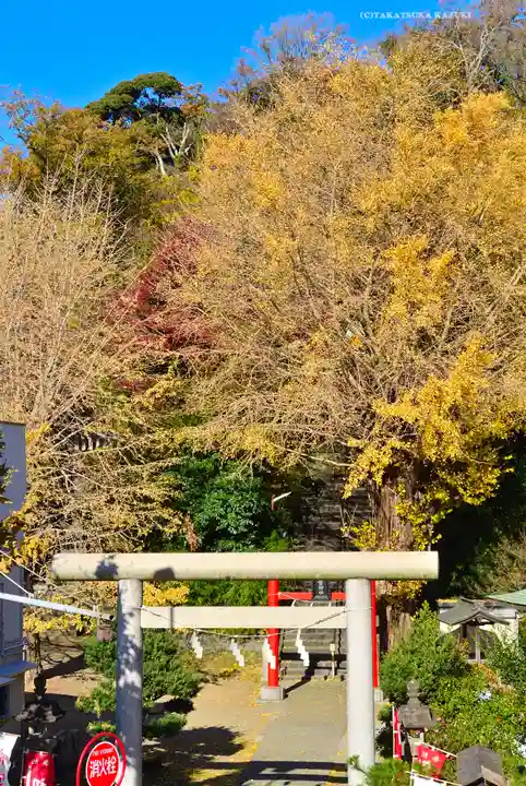 雷神社(神奈川県)