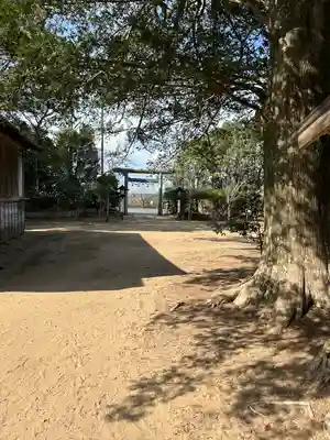 鎌数伊勢大神宮(千葉県)