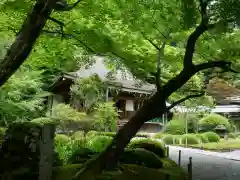 寂光院の建物その他