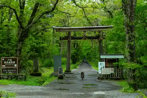 戸隠神社奥社(長野県)