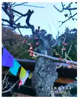 【公式】龍門院常楽寺(秩父札所十一番)(埼玉県)