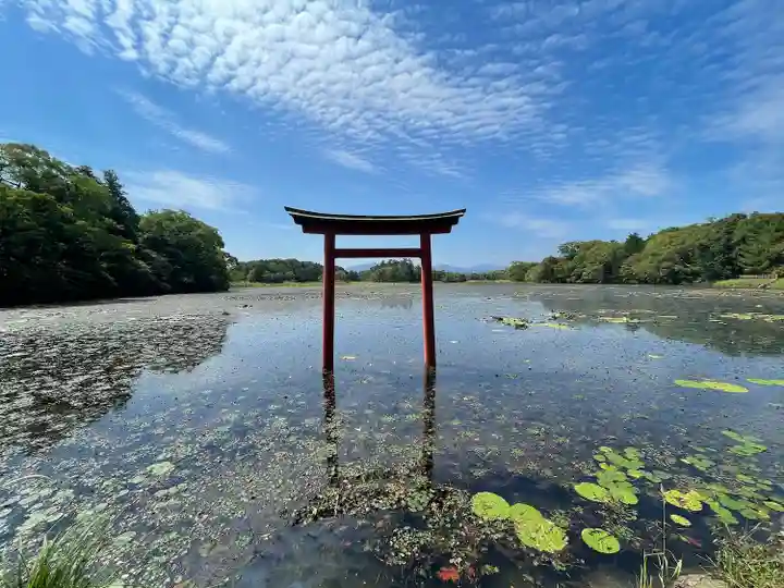 薦神社(大分県)