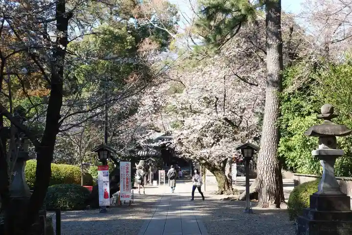 岩槻久伊豆神社(埼玉県)