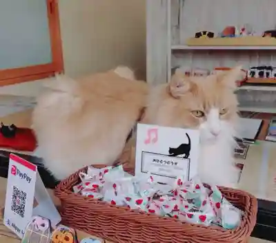 駒込妙義神社(東京都)