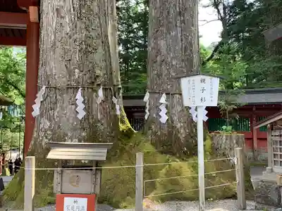 日光二荒山神社(栃木県)