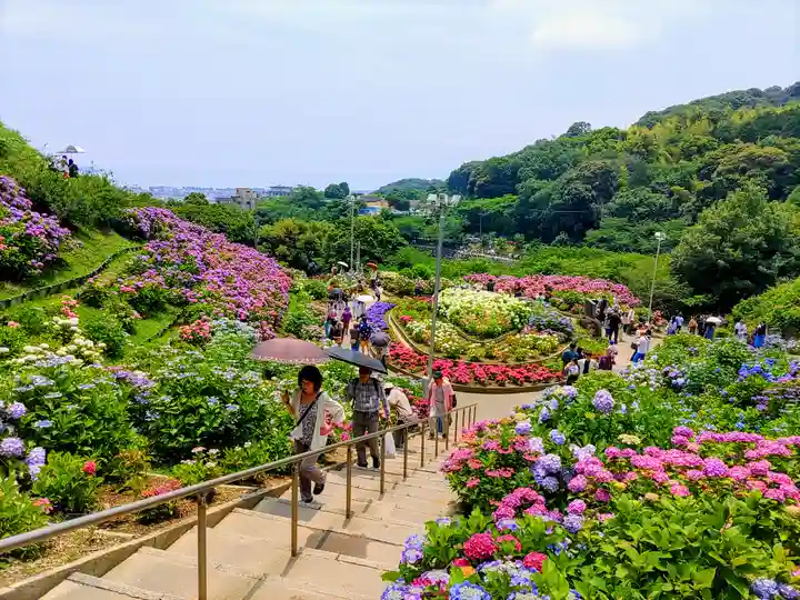 補陀寺の周辺