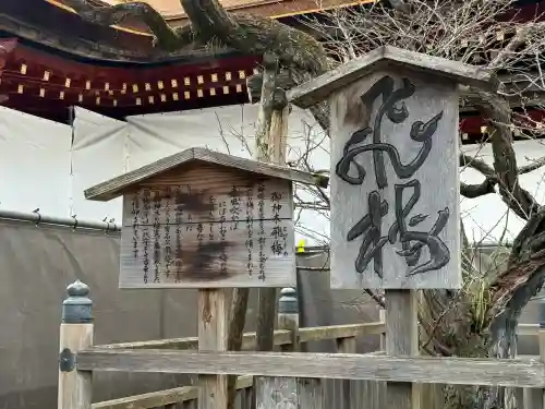 太宰府天満宮(福岡県)