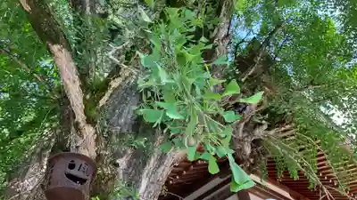 吉備津神社(岡山県)