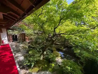 宝泉院(京都府)