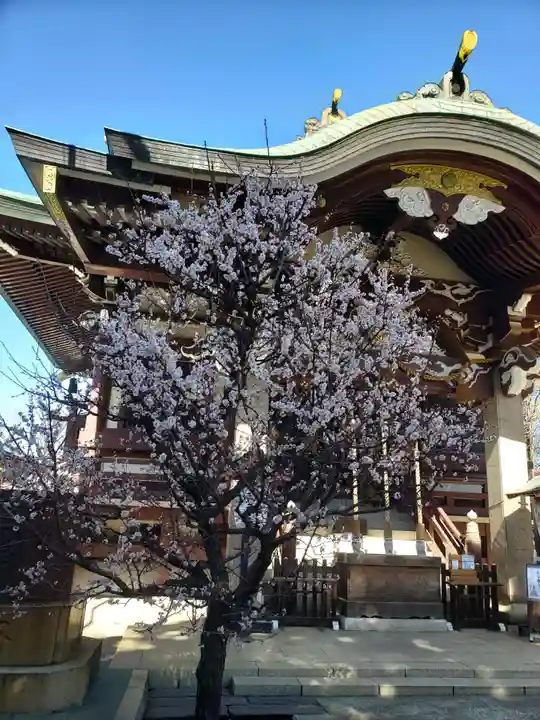 諏訪神社(東京都)