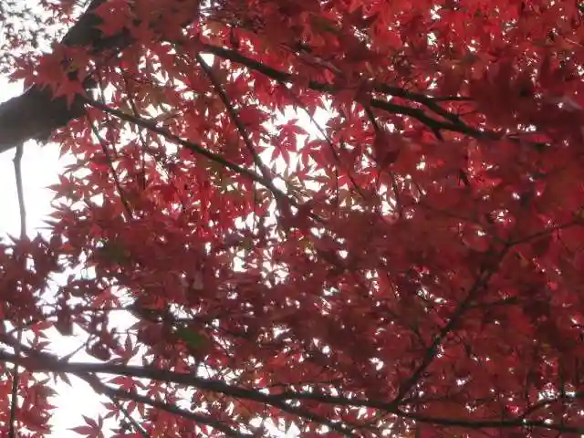 日吉大社(滋賀県)