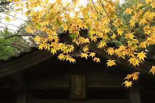 桜天満宮(京都府)